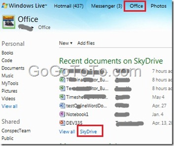 skydrive01 skydrive01